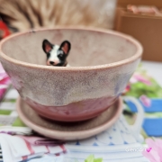 Filiżanka z BULDOGIEM pieskiem BULDOŻKIEM Francuskim ceramiczna ze spodkiem i zwierzakiem w środku ręcznie toczona i malowana elegancka filiżanka z pięknym szkliwem BULDOŻEK FRANCUSKI biało - czarny kubek różowy z buldożkiem pies w filiżance