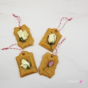 WhatsApp Image 2026-03-19 at 12.17.25 (1).jpeg