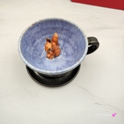 Filiżanka WIEWÓRKA ceramiczna ze spodkiem WIEWIÓRKĄ w środku ręcznie toczona i malowana ze spodkiem Ruda wiewiórka leśne zwierzę kubek z wiewiórką ciemny brąz i niebieski