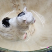 Filiżanka KOT biały NIEIDEALNA ceramiczna ze spodkiem z KOTEM w środku ręcznie toczona i malowana w kolorach zielonych niebieskich brązach i beżach oraz biały kot kubek